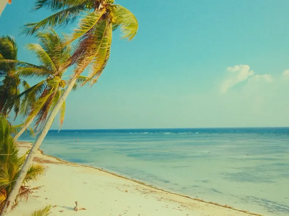 Coconut palms leaning over white sand above a calm turquoise sea under a bright blue sky